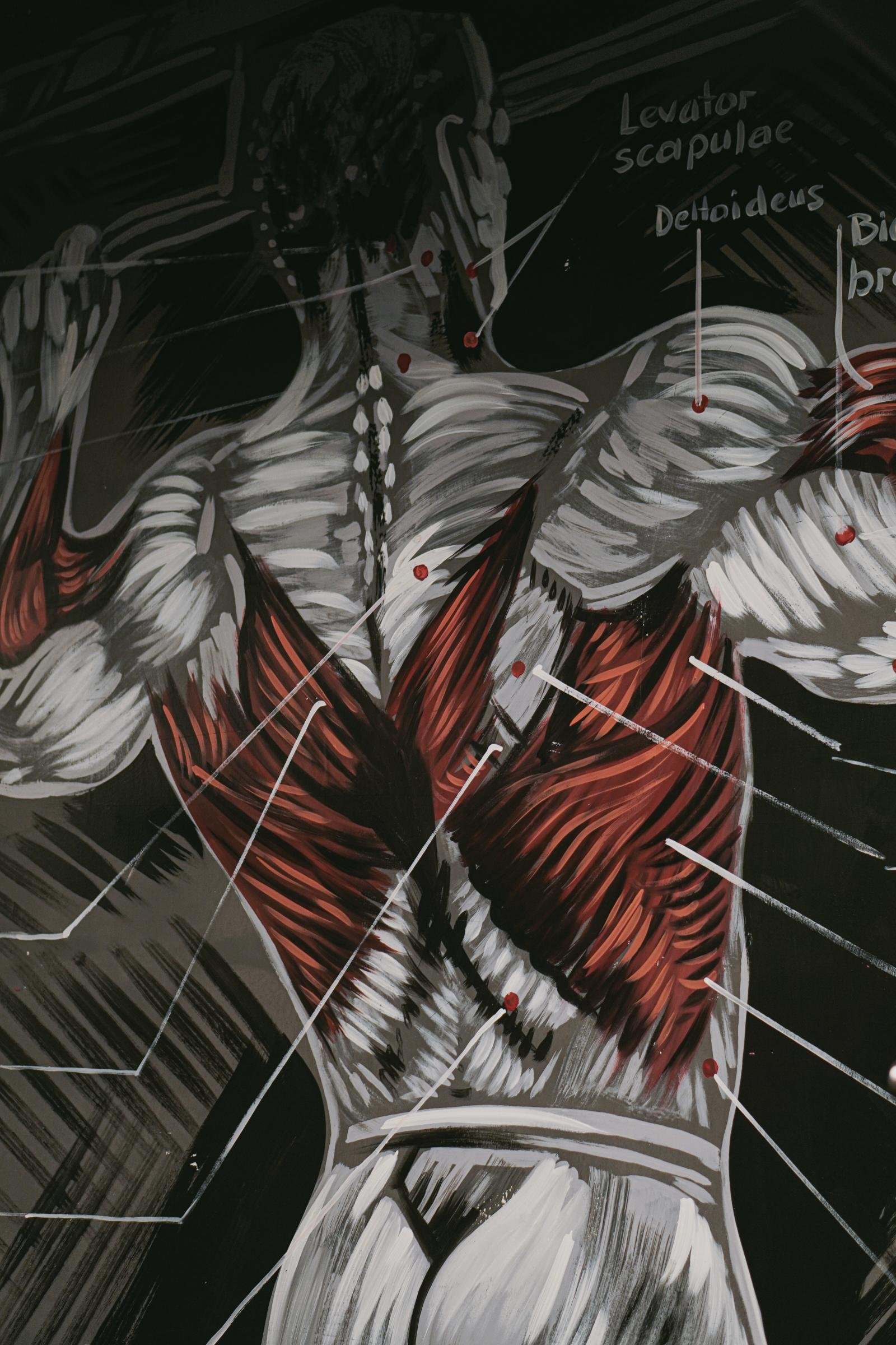 LoopUp XL Personal Training - Görsel 4