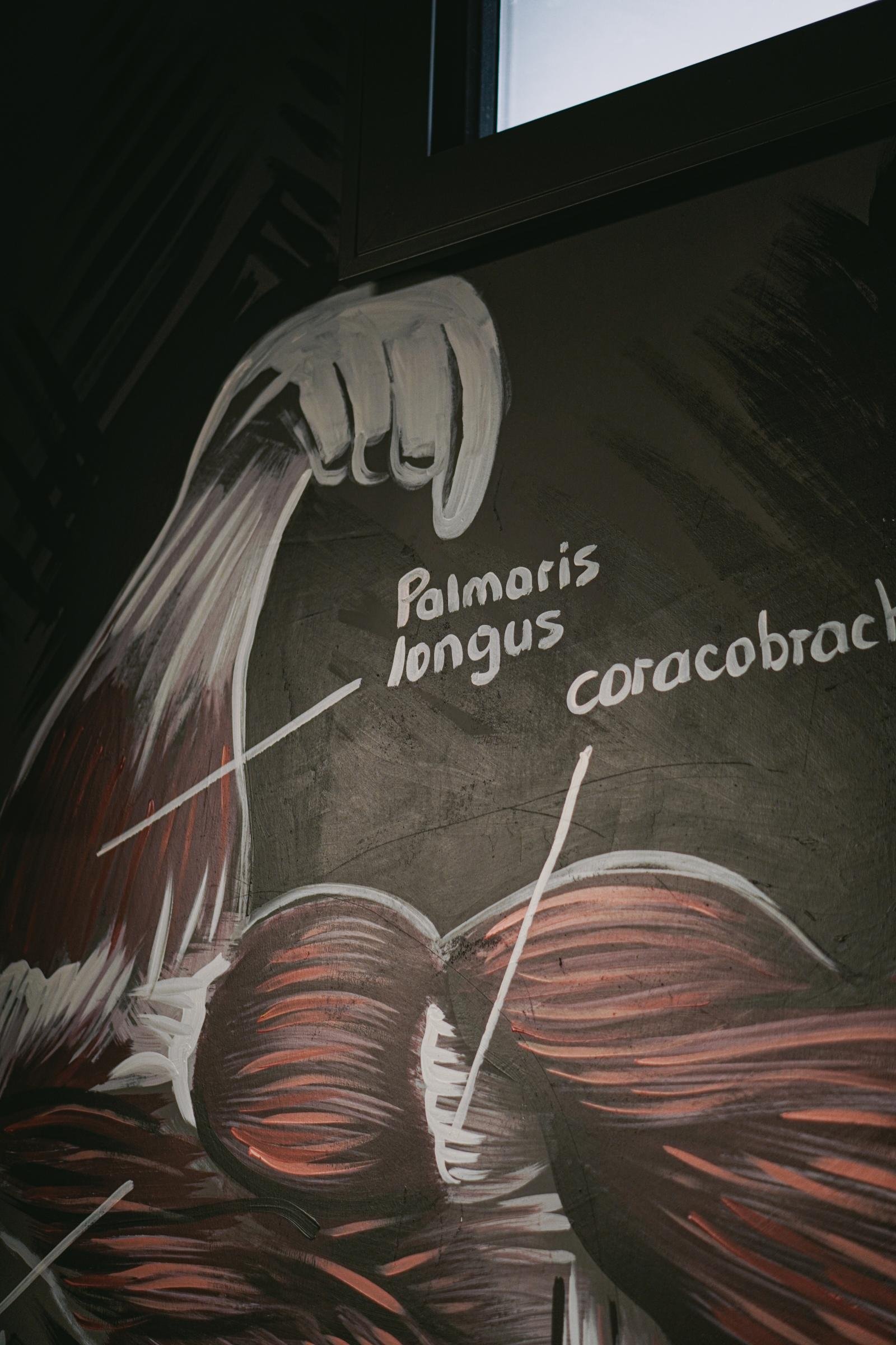 LoopUp XL Personal Training - Görsel 6