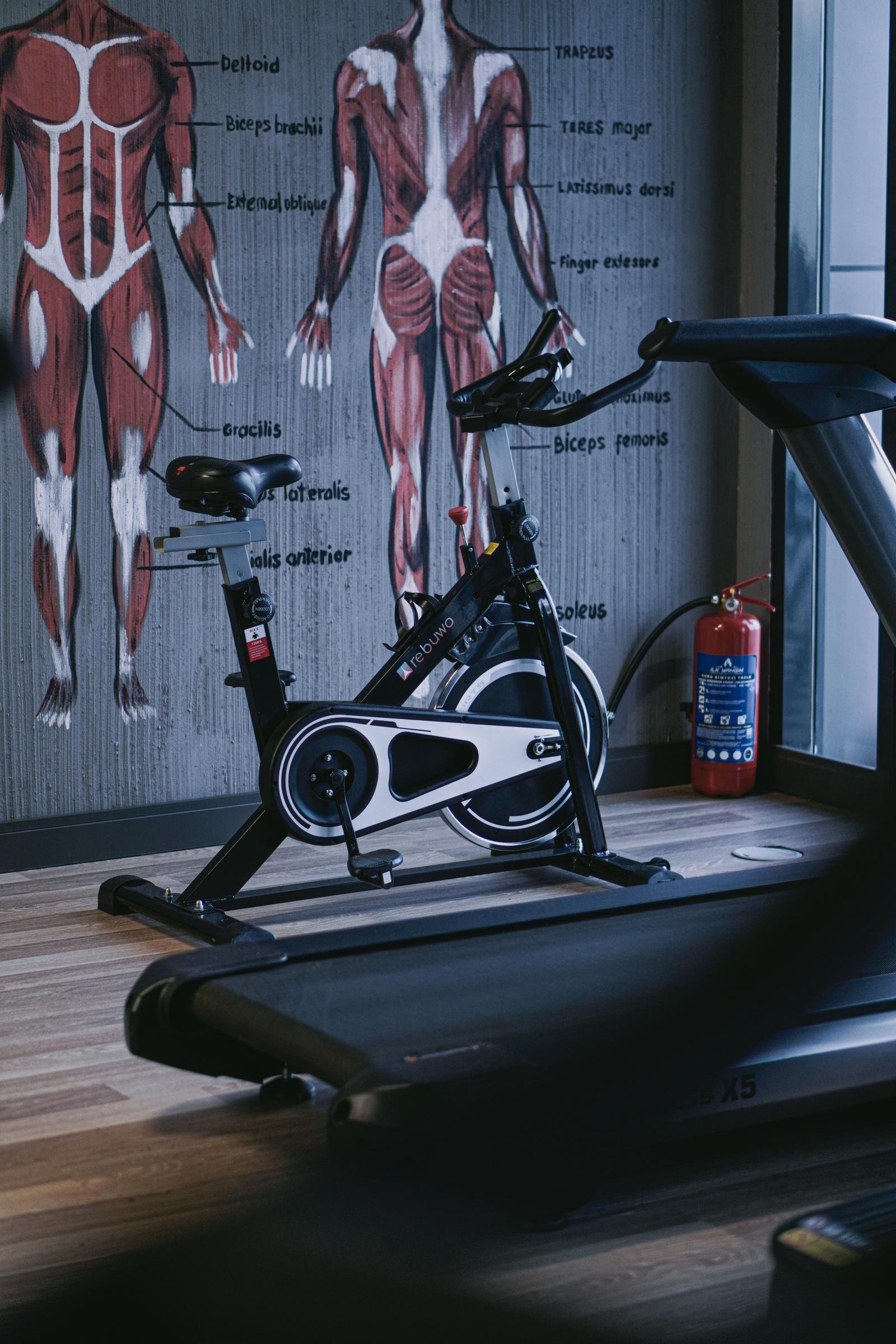 LoopUp XL Personal Training - Görsel 12